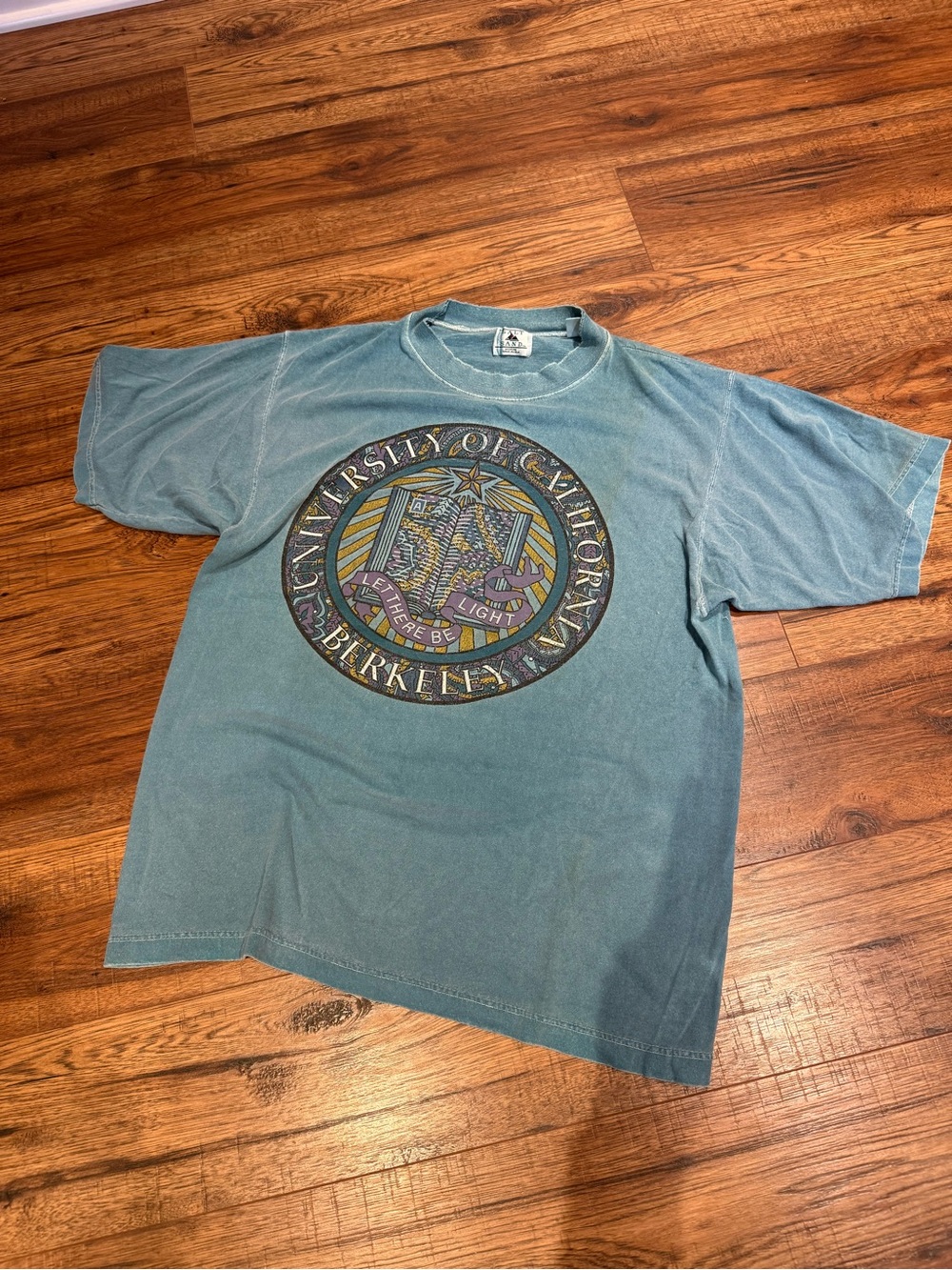 Vintage University of California Berkeley Collegiate 90’s Graphic Green Tee Galt